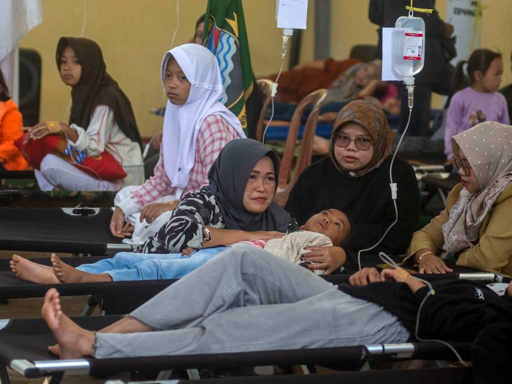 Search image article