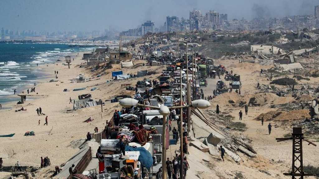 Search image article