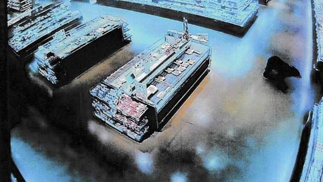 Search image article