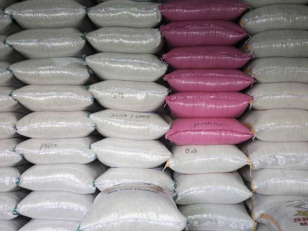 BPS Ungkap: Harga Beras Turun di Oktober 2025, Kecuali Pecah