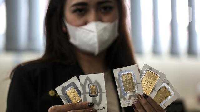 Search image article