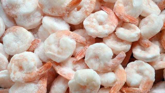 Pemerintah: 18 kontainer udang dikembalikan tidak terpapar radioaktif