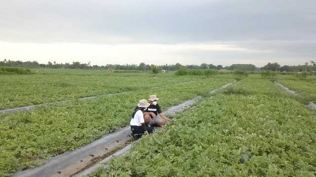 Search image article