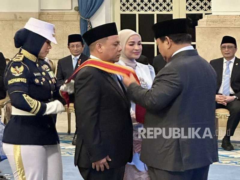 Search image article