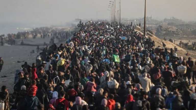 Search image article