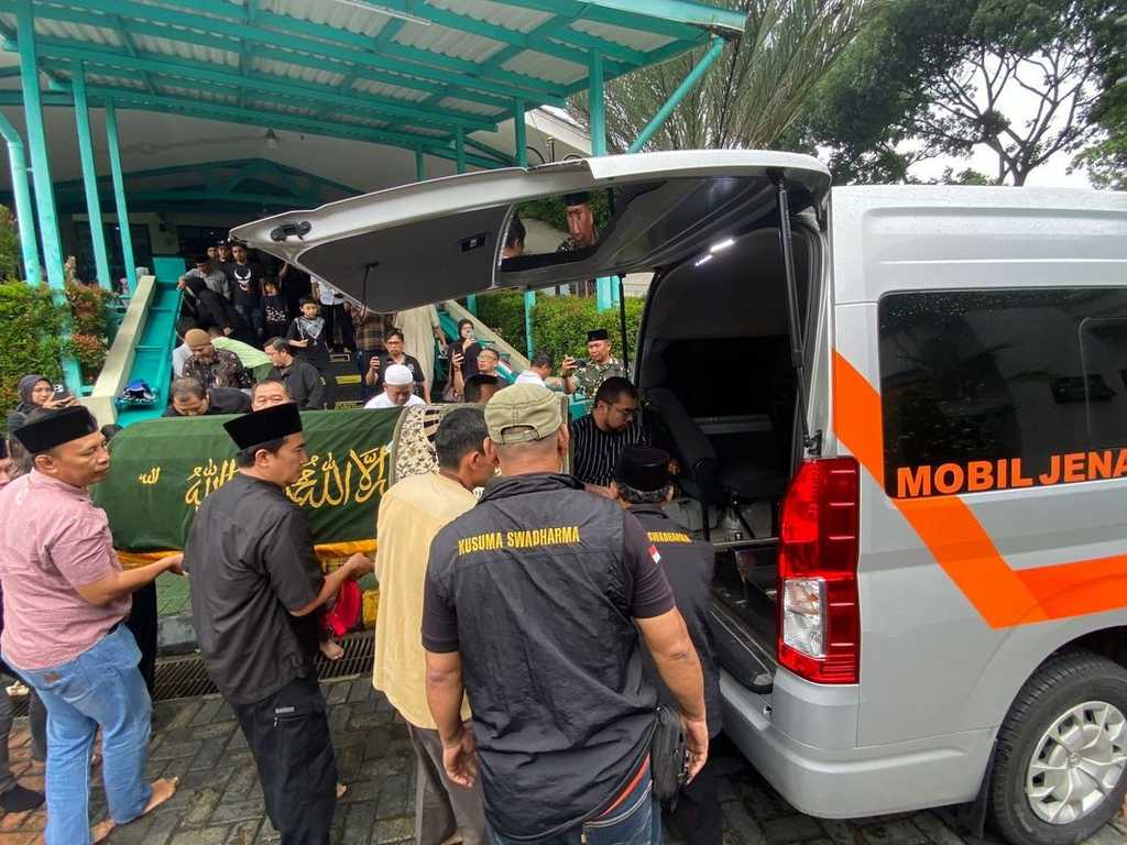 Search image article