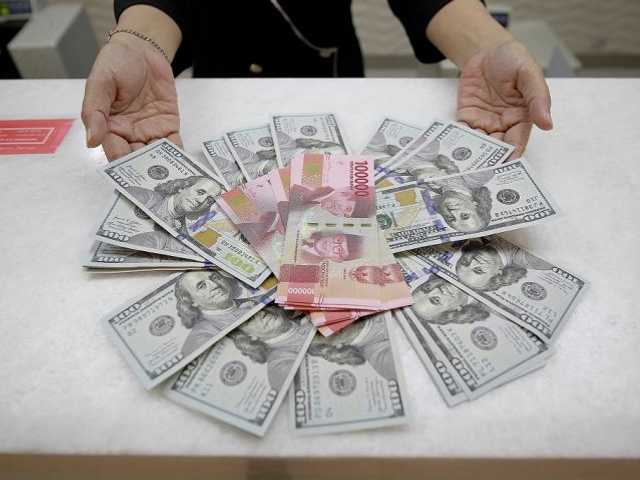 Search image article