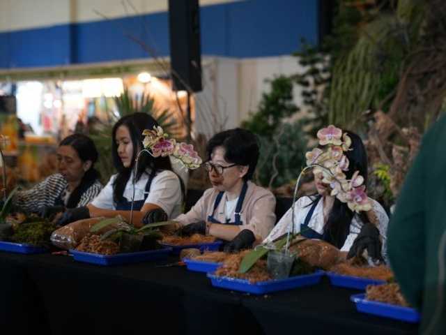 Search image article