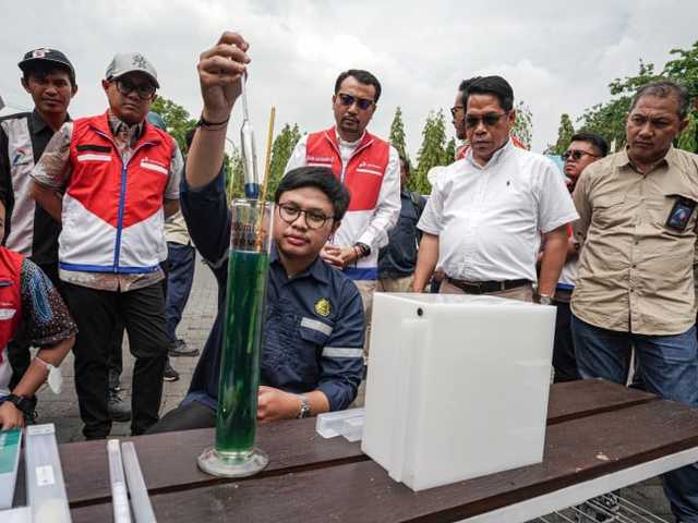 Search image article