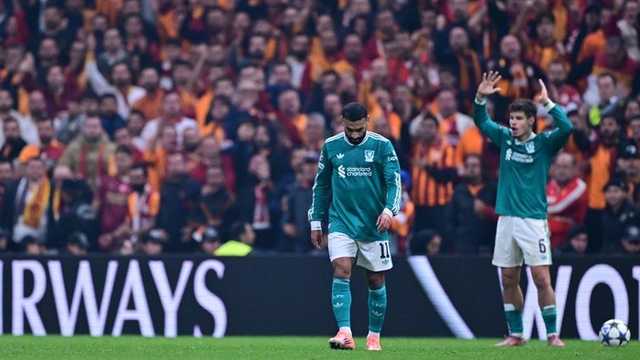 Search image article