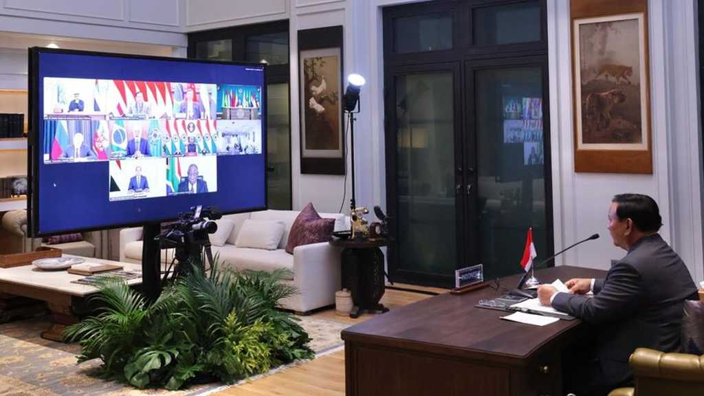 Search image article