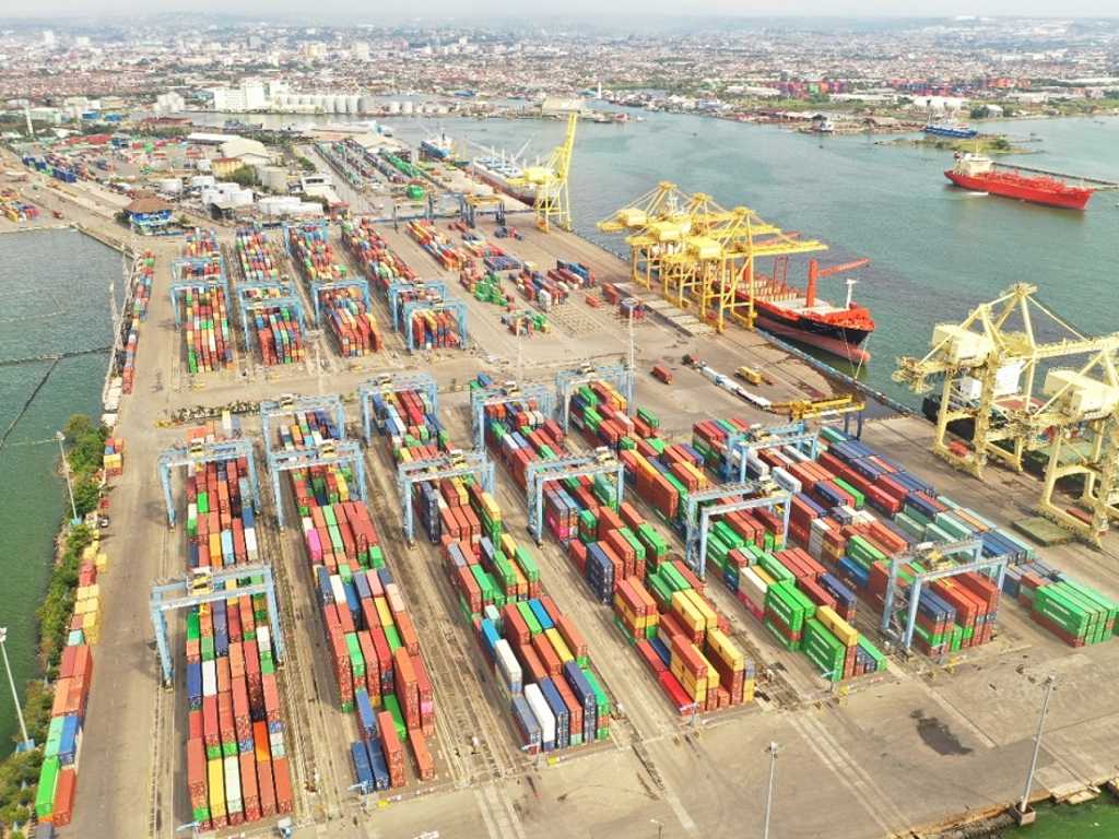 Search image article