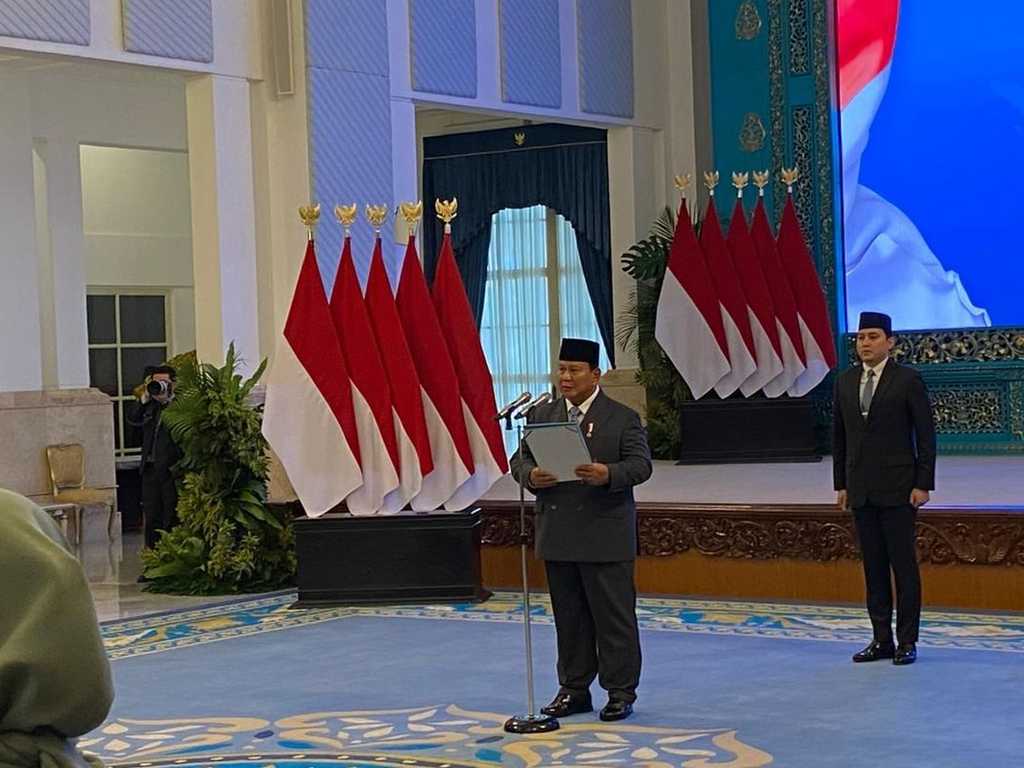 Search image article