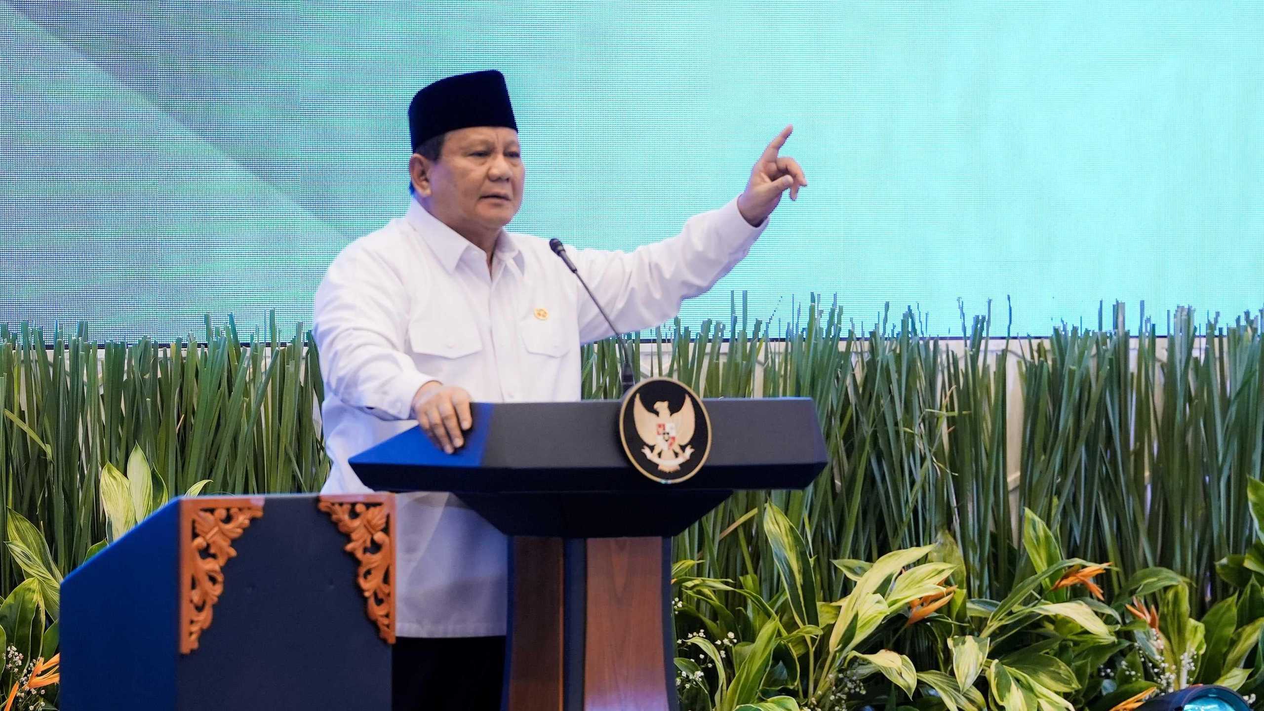 Search image article