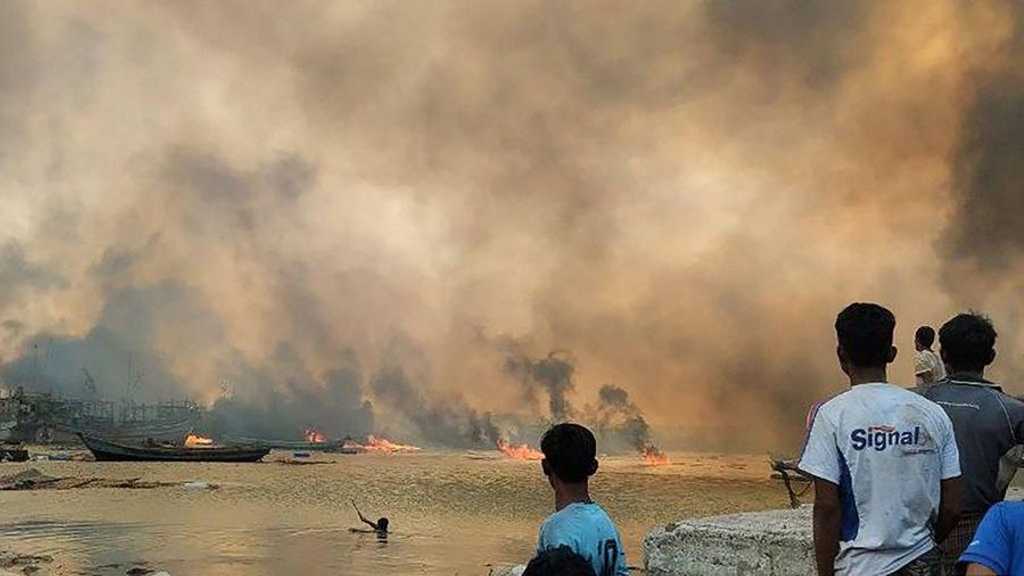 Search image article