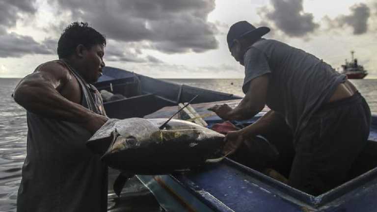 KNTI: Proyek modernisasi kapal berpotensi kerdilkan nelayan kecil