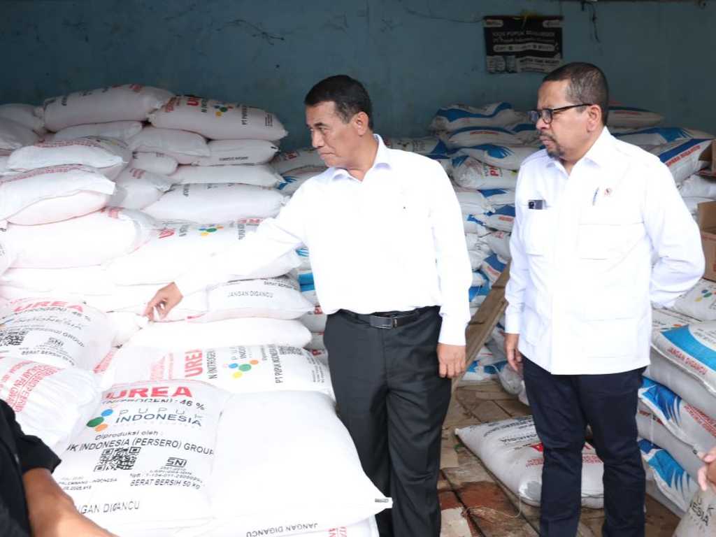 Search image article