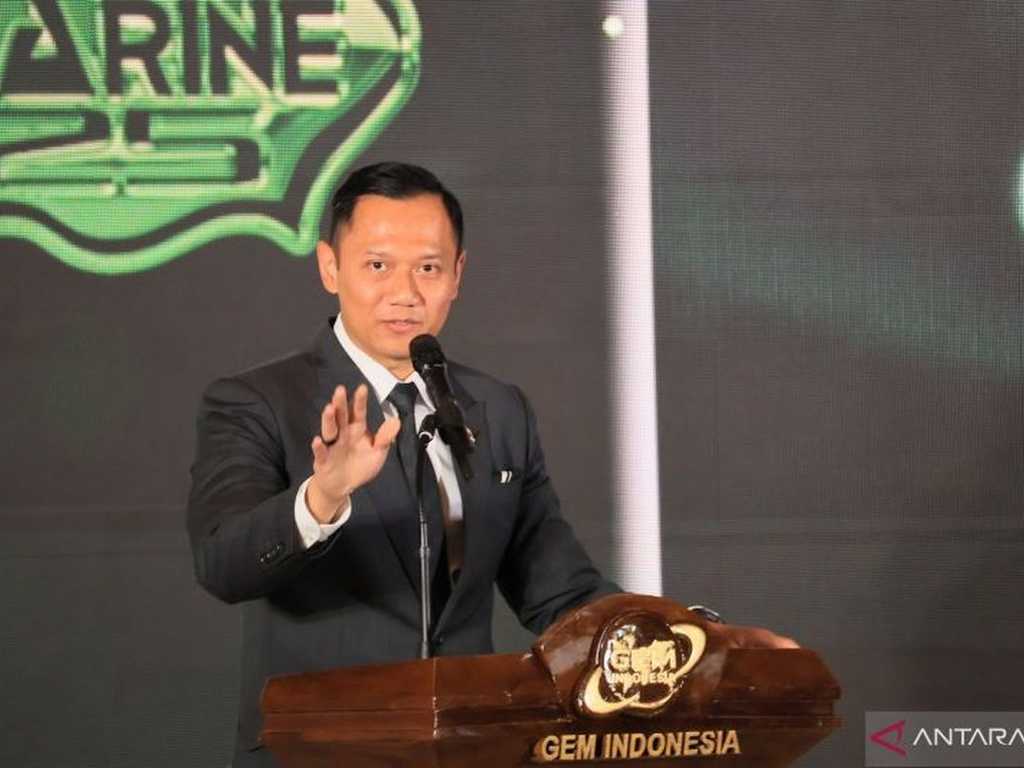 Search image article