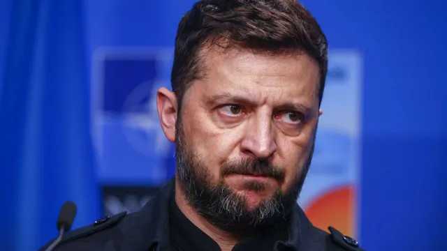 Search image article