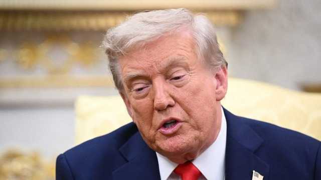 Search image article