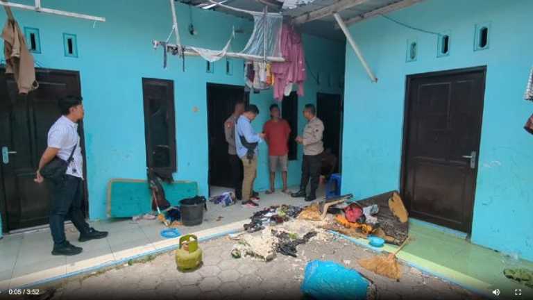 Search image article