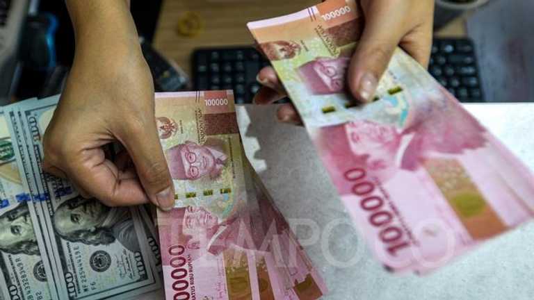 Search image article