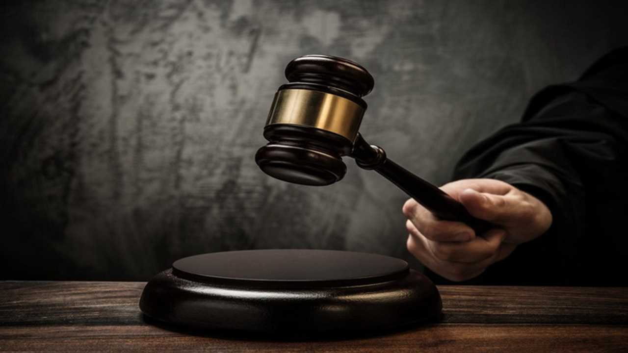 Search image article