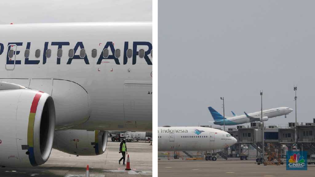 DPR tolak merger Garuda dan Pelita Air