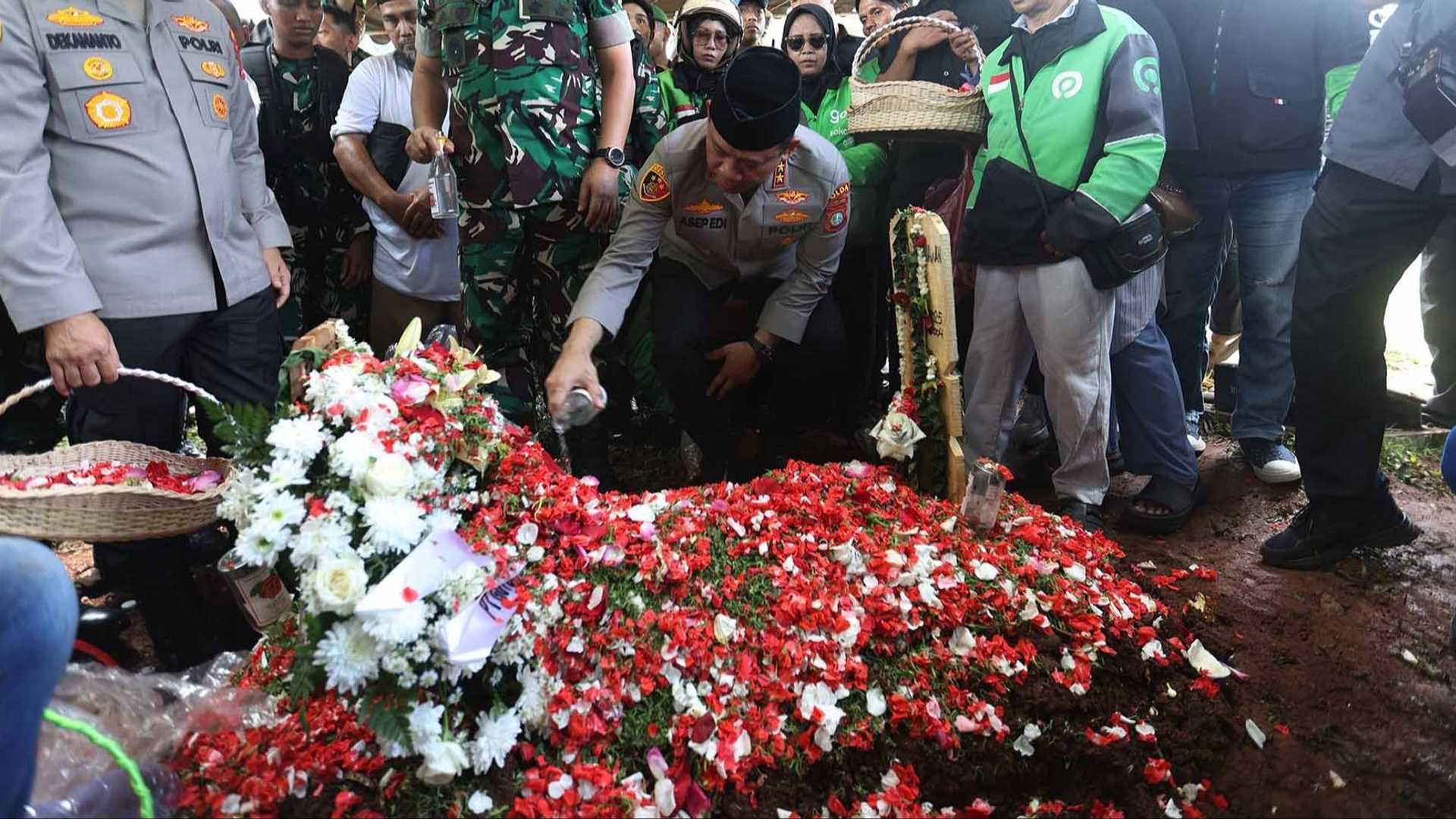 Search image article