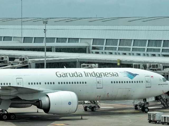 Search image article