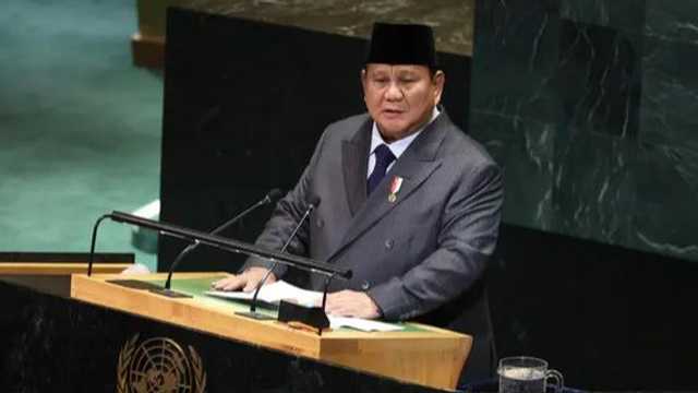 Search image article