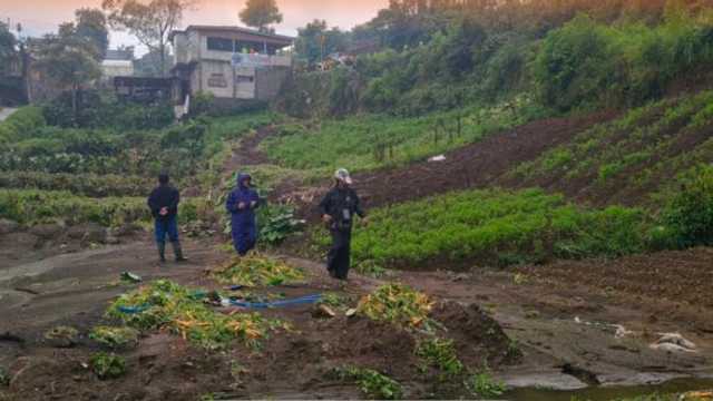 Hujan Deras: Longsor dan Banjir Terjang Kota Batu, Lahan Pertanian Rusak
