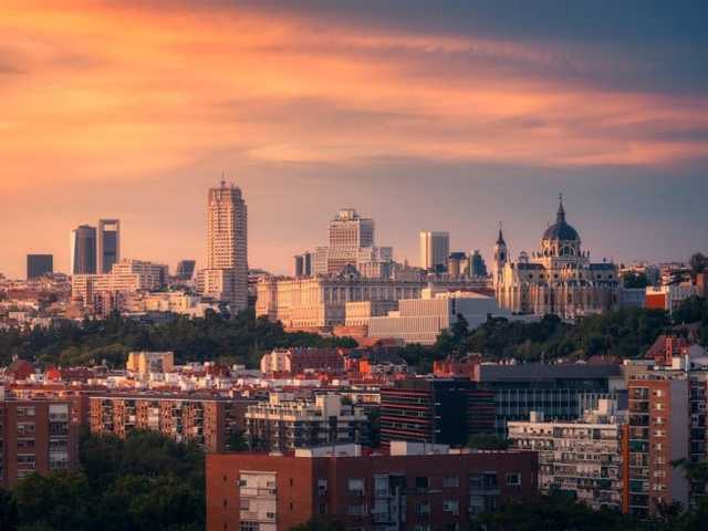 Search image article