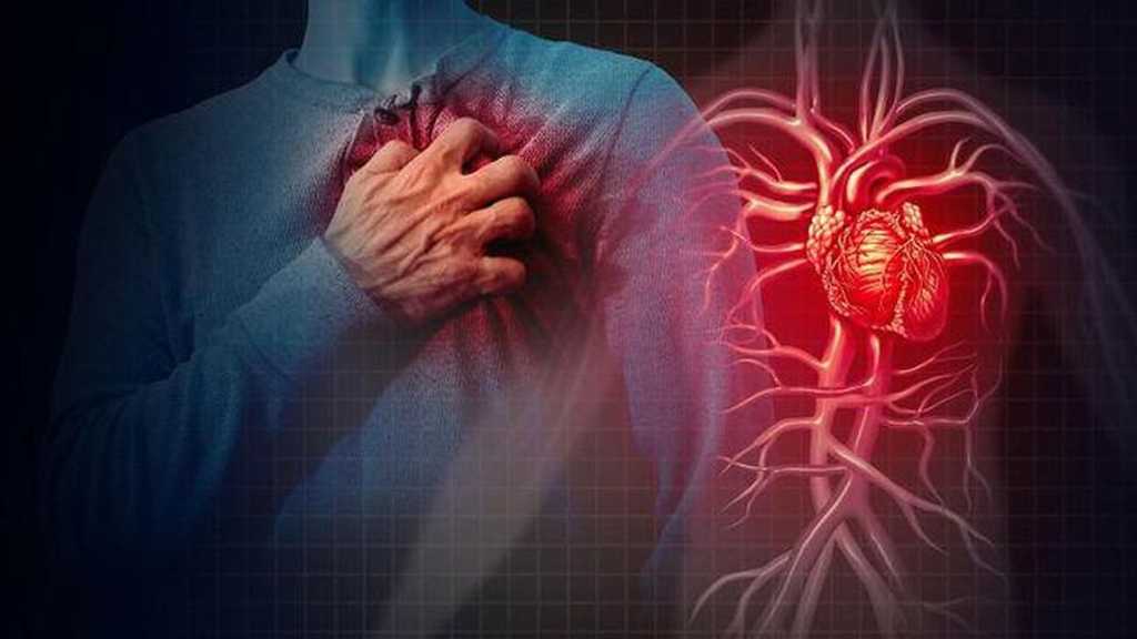 MSIG Life Kucurkan Rp 480 Miliar Klaim, Kanker & Serangan Jantung Hantui Usia Produktif