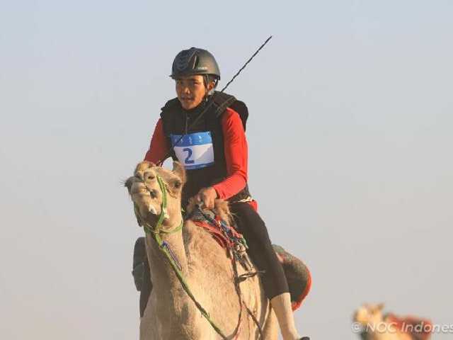 Search image article