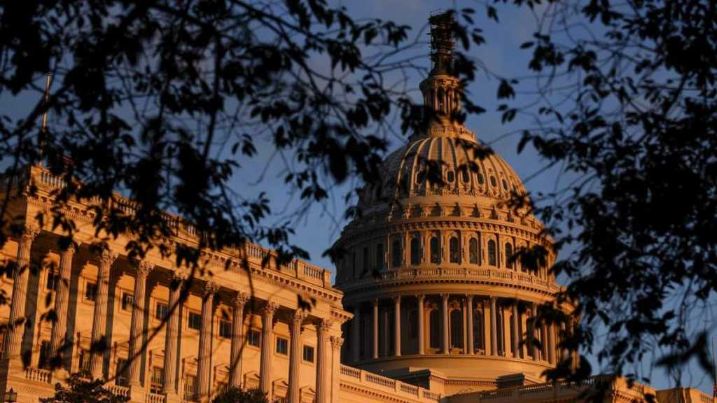 Search image article