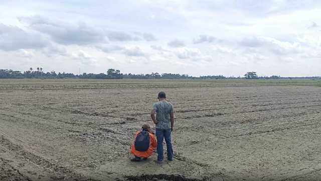 Search image article