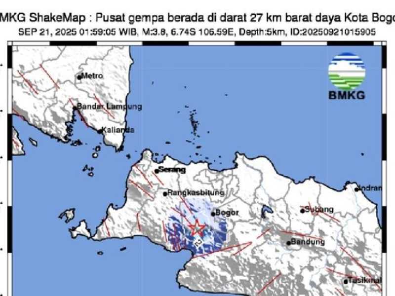 Search image article