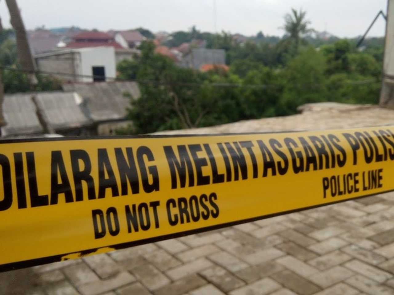 Search image article