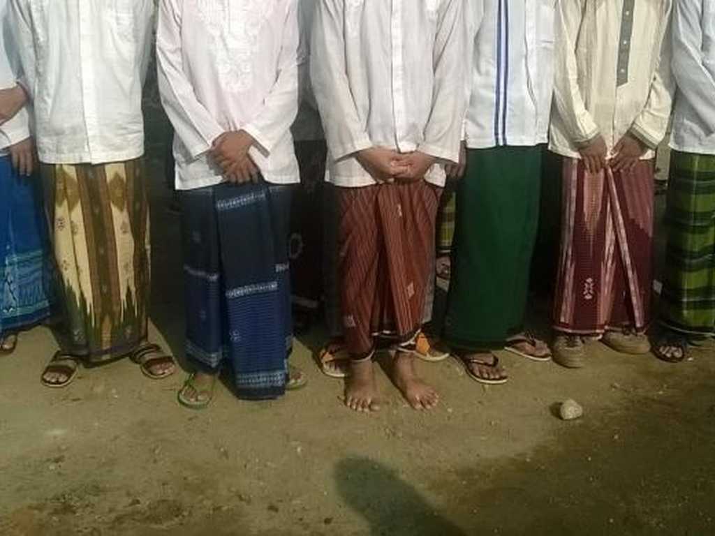 Search image article