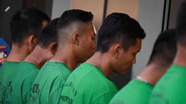 Search image article