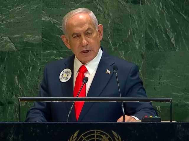 Search image article