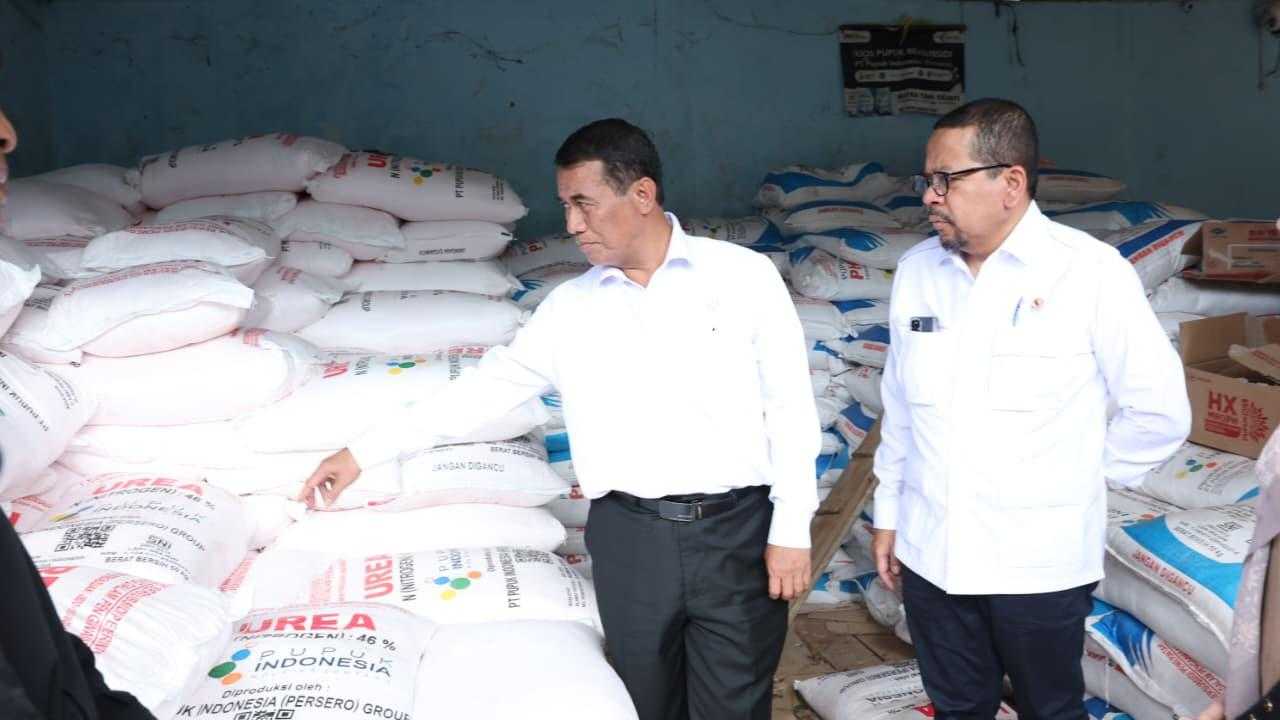 Search image article