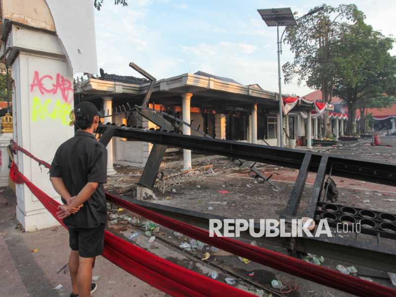 Search image article