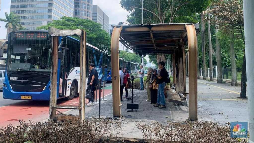 Search image article