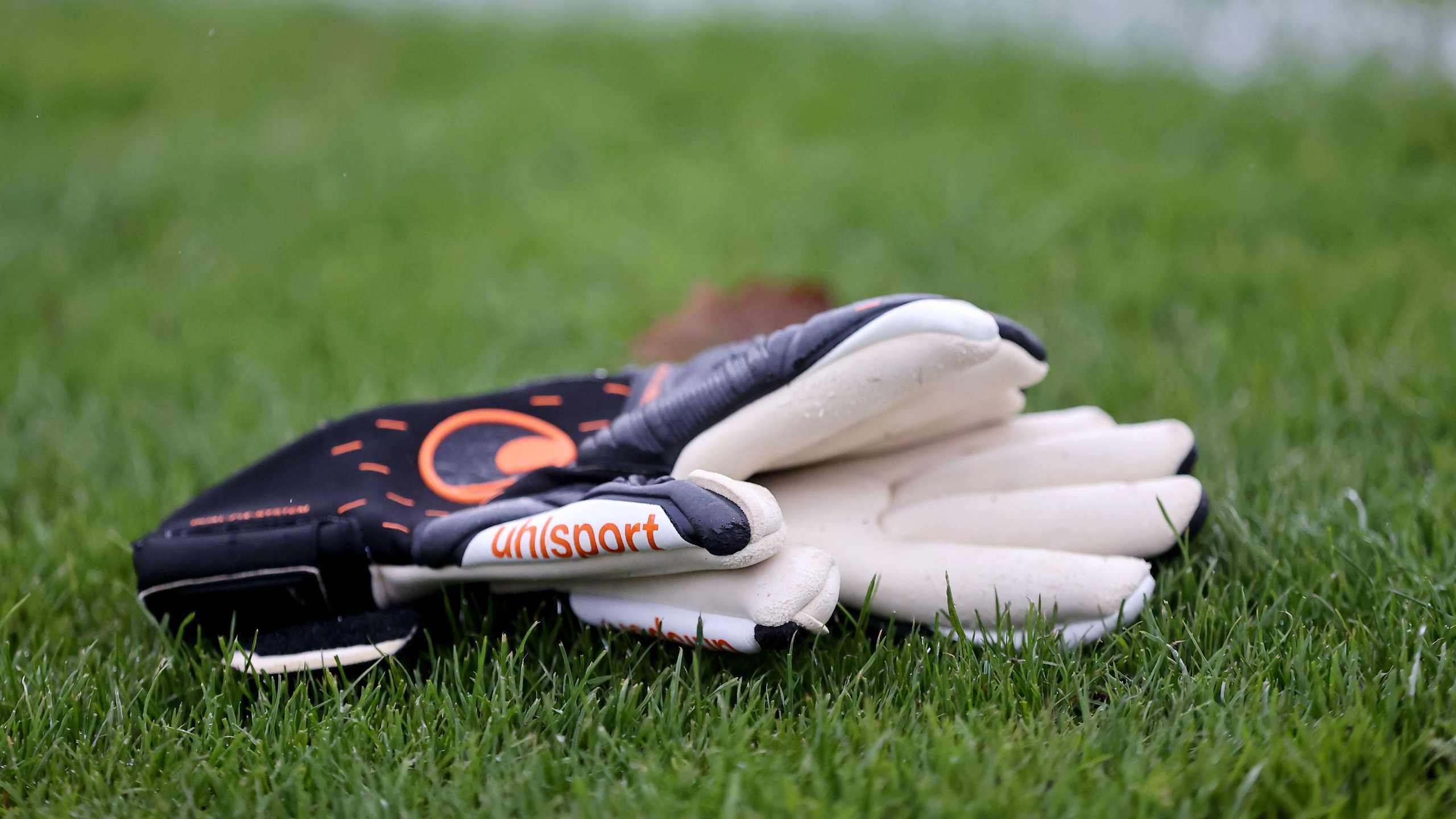 Search image article