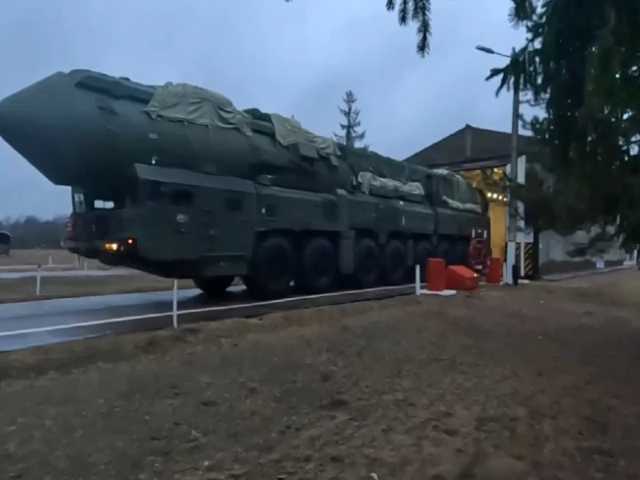 Search image article