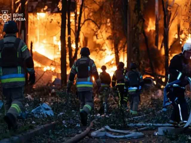 Search image article