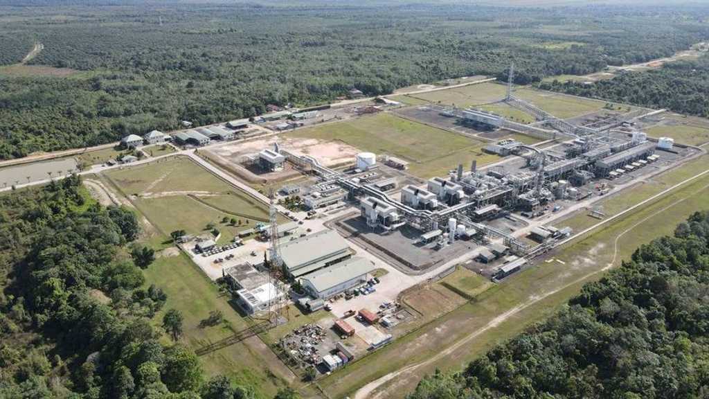 Search image article