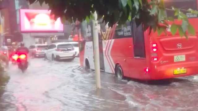 Search image article